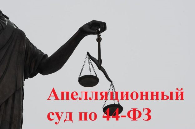 Апелляционный суд 44-ФЗ